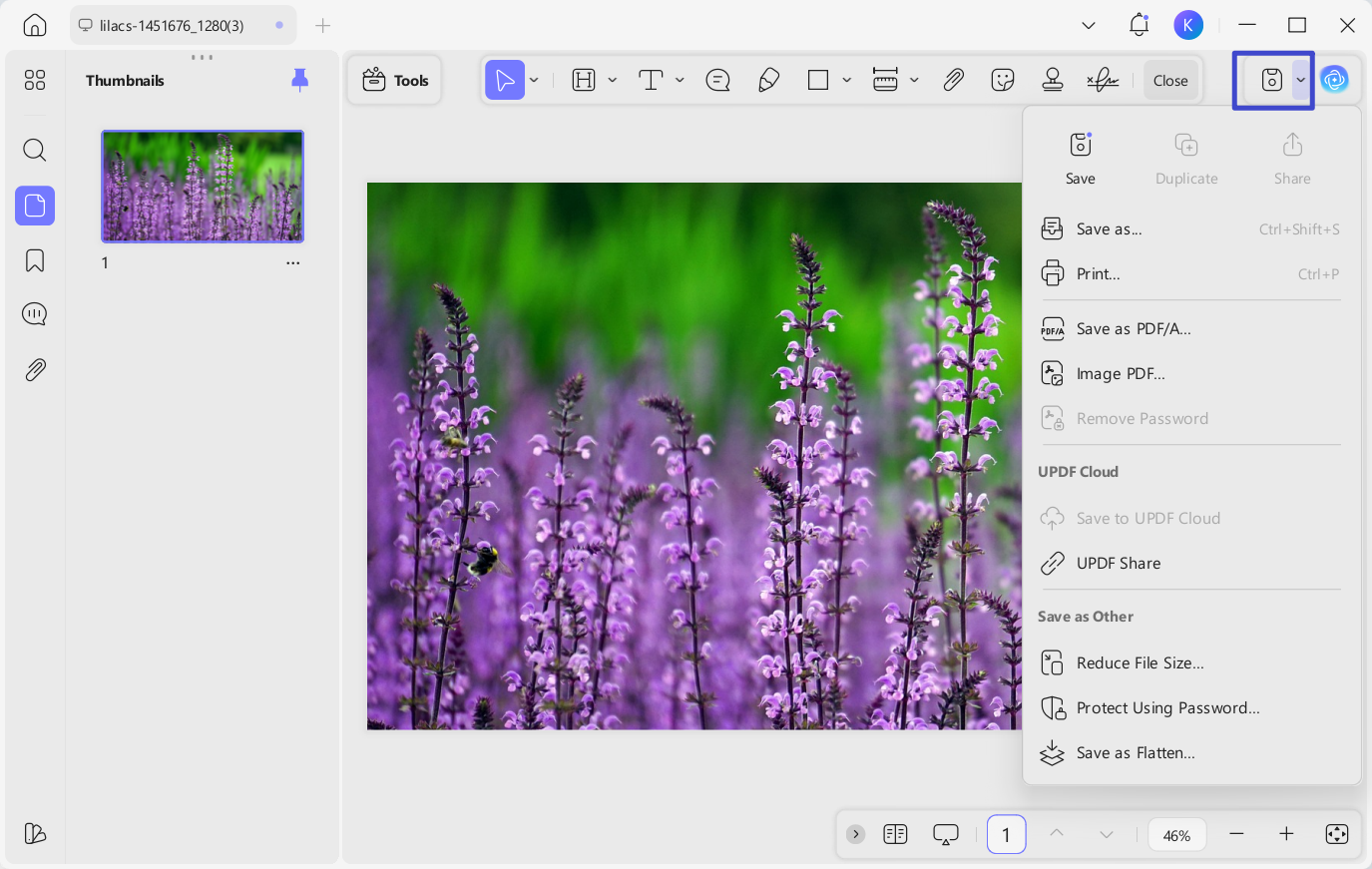 save pdf