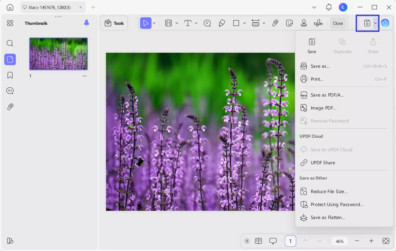 save pdf