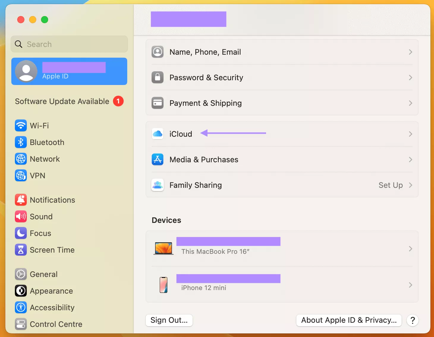 select icloud mac