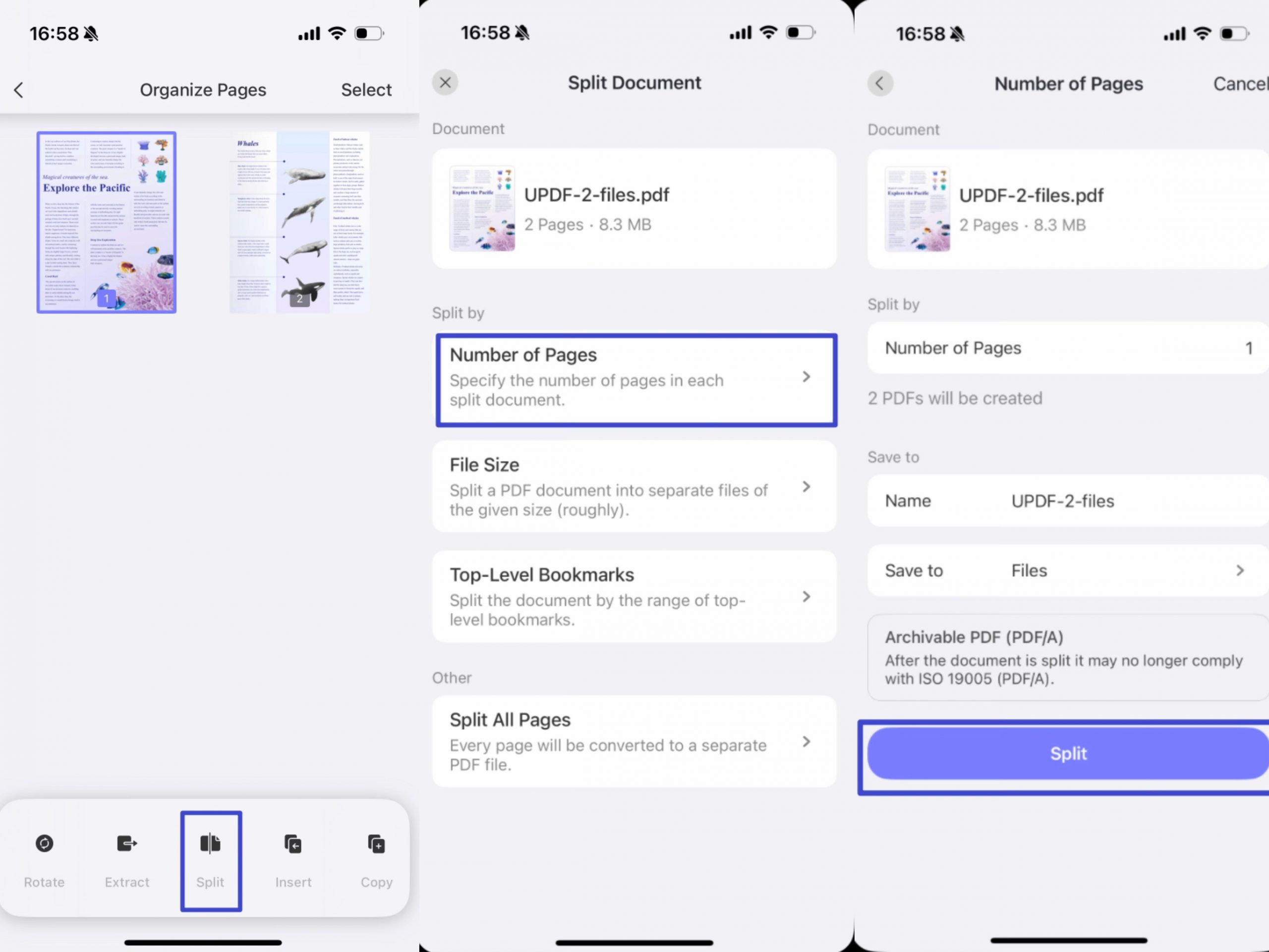 split by pages updf app