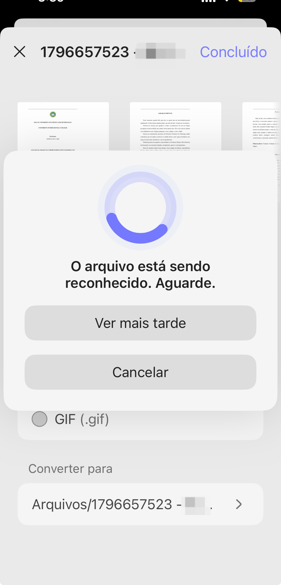 converter pdf para imagem