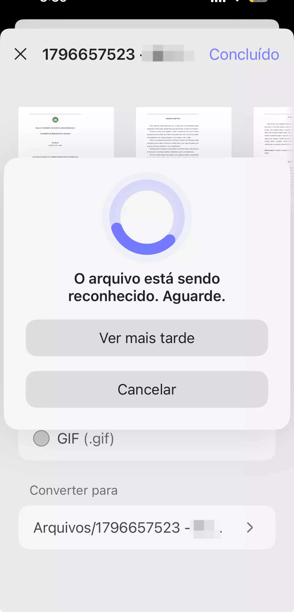 converter pdf para imagem