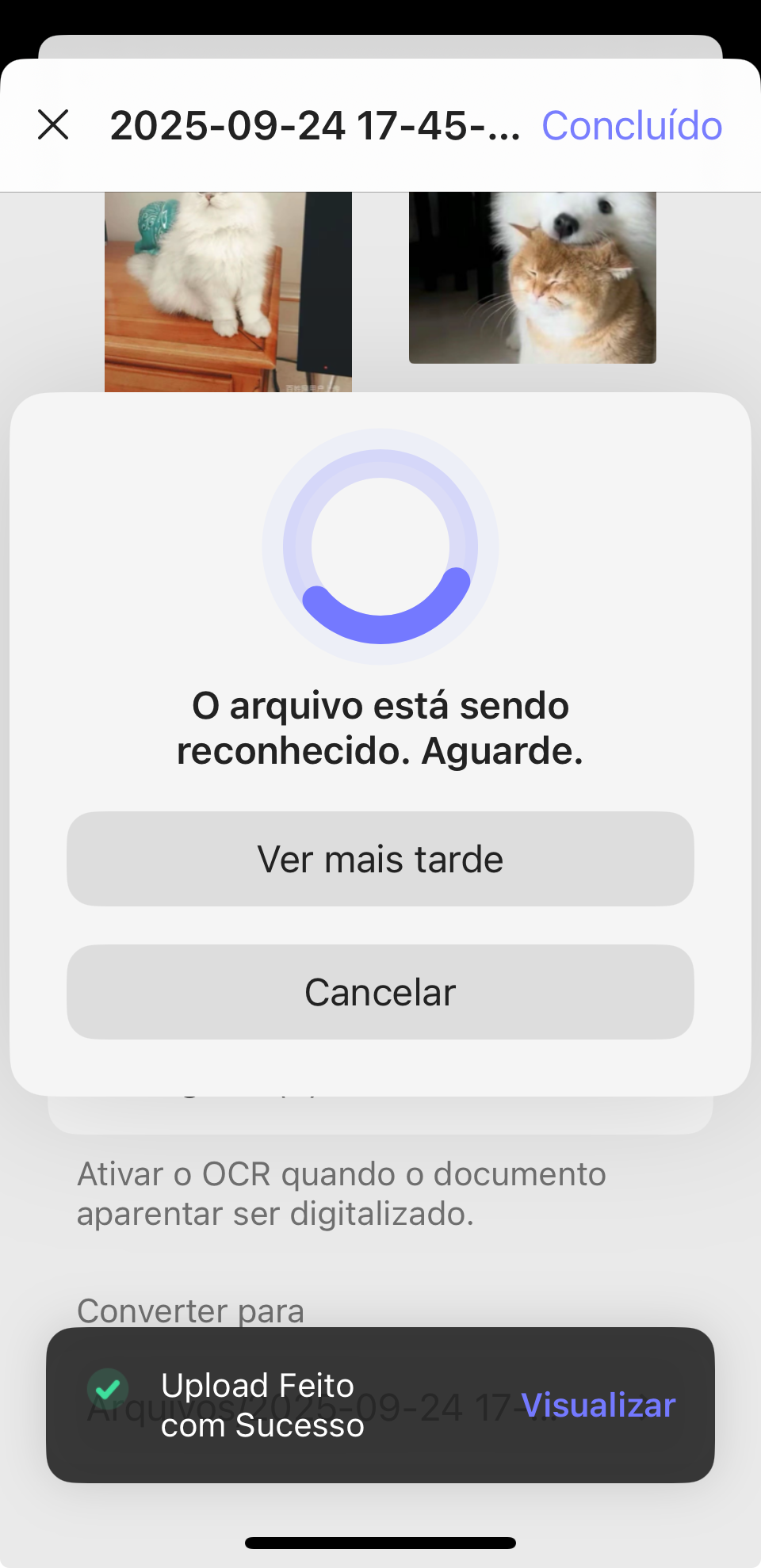 O arquivo está sendo reconhecido
