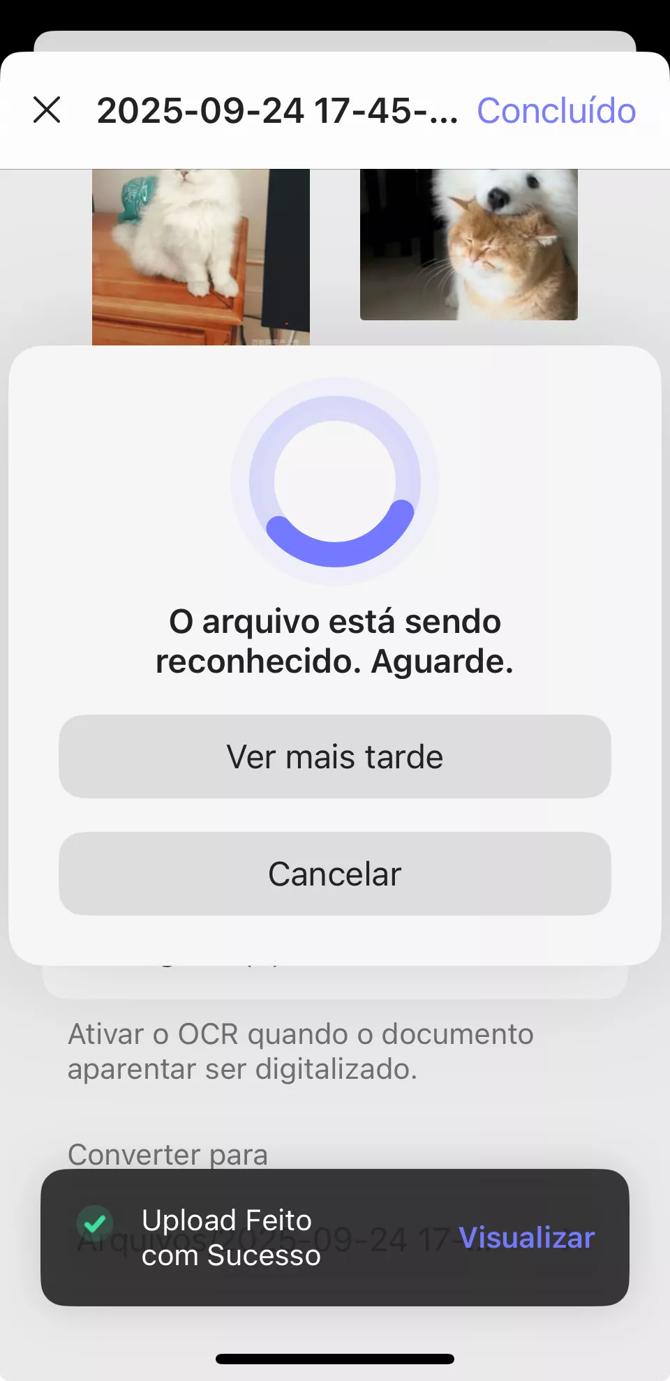 O arquivo está sendo reconhecido