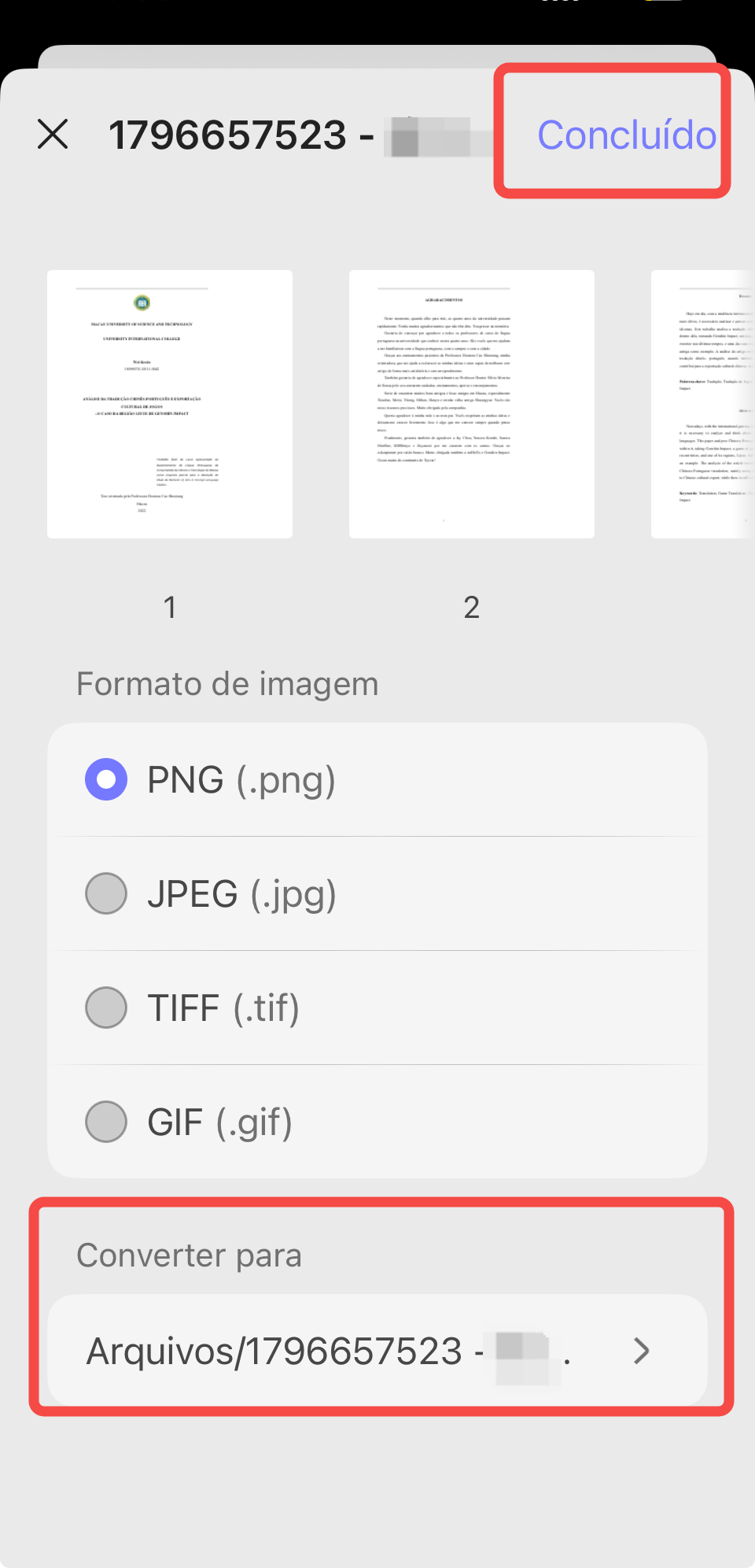 converter pdf para imagem