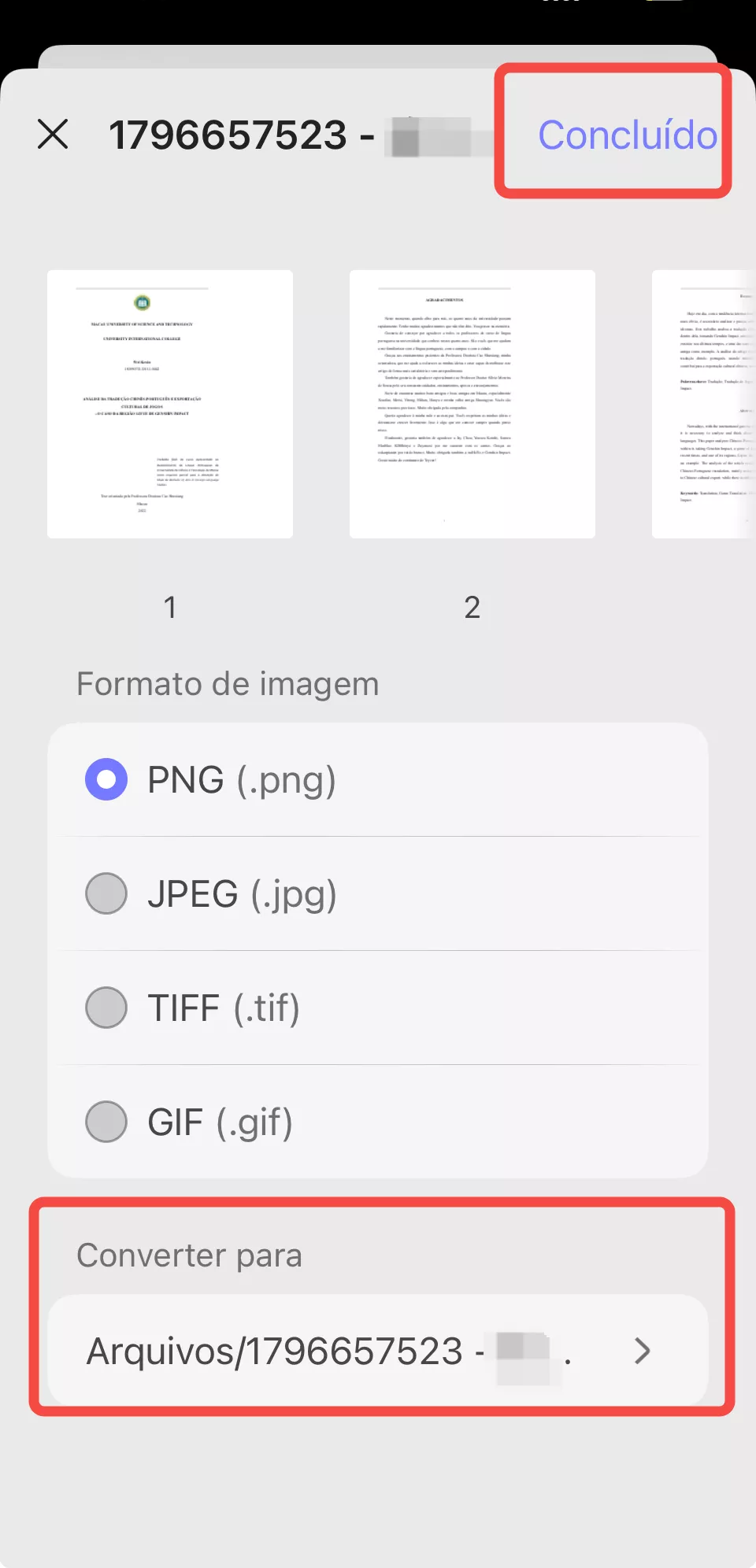 converter pdf para imagem