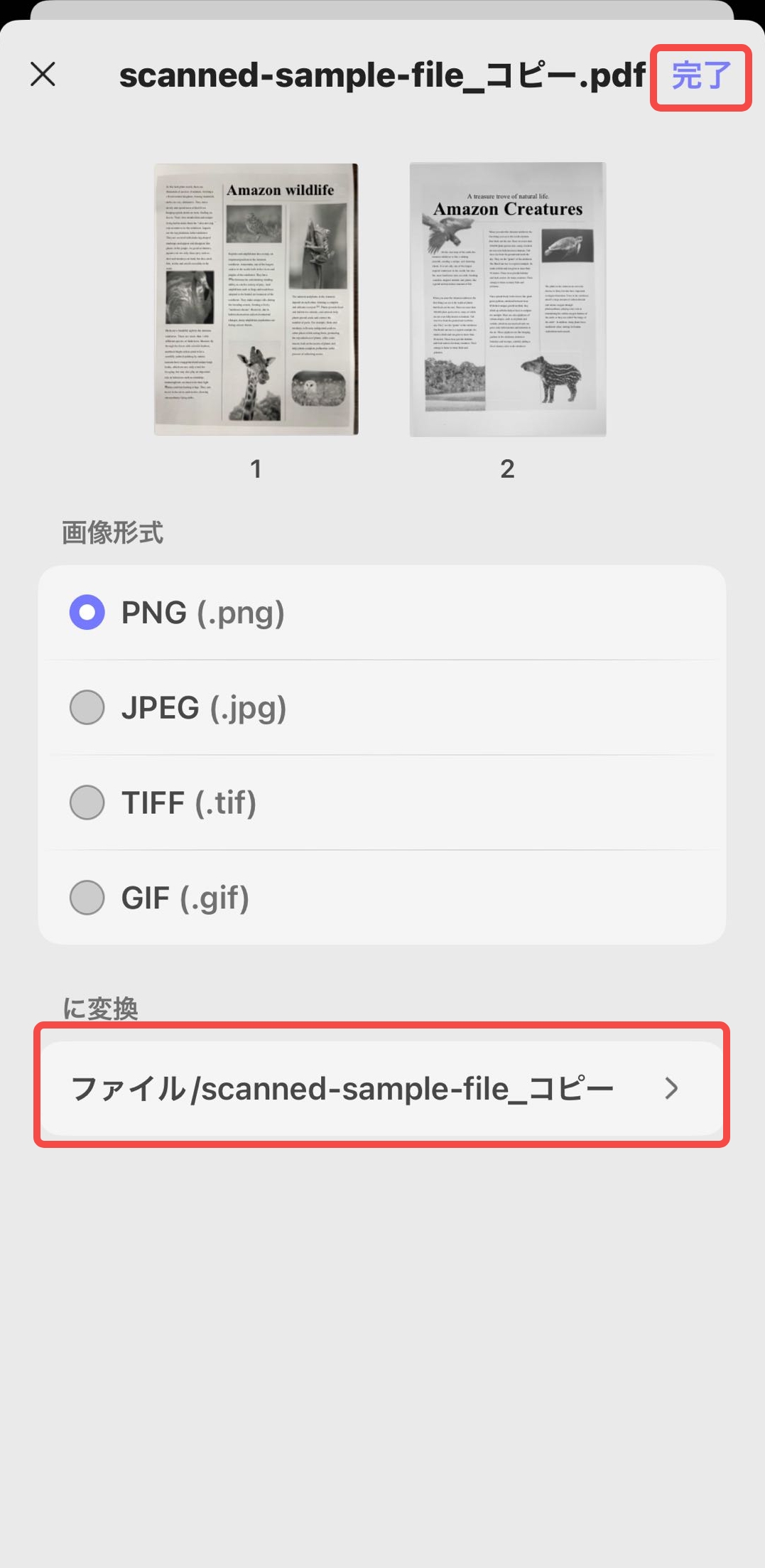 画像の保存先