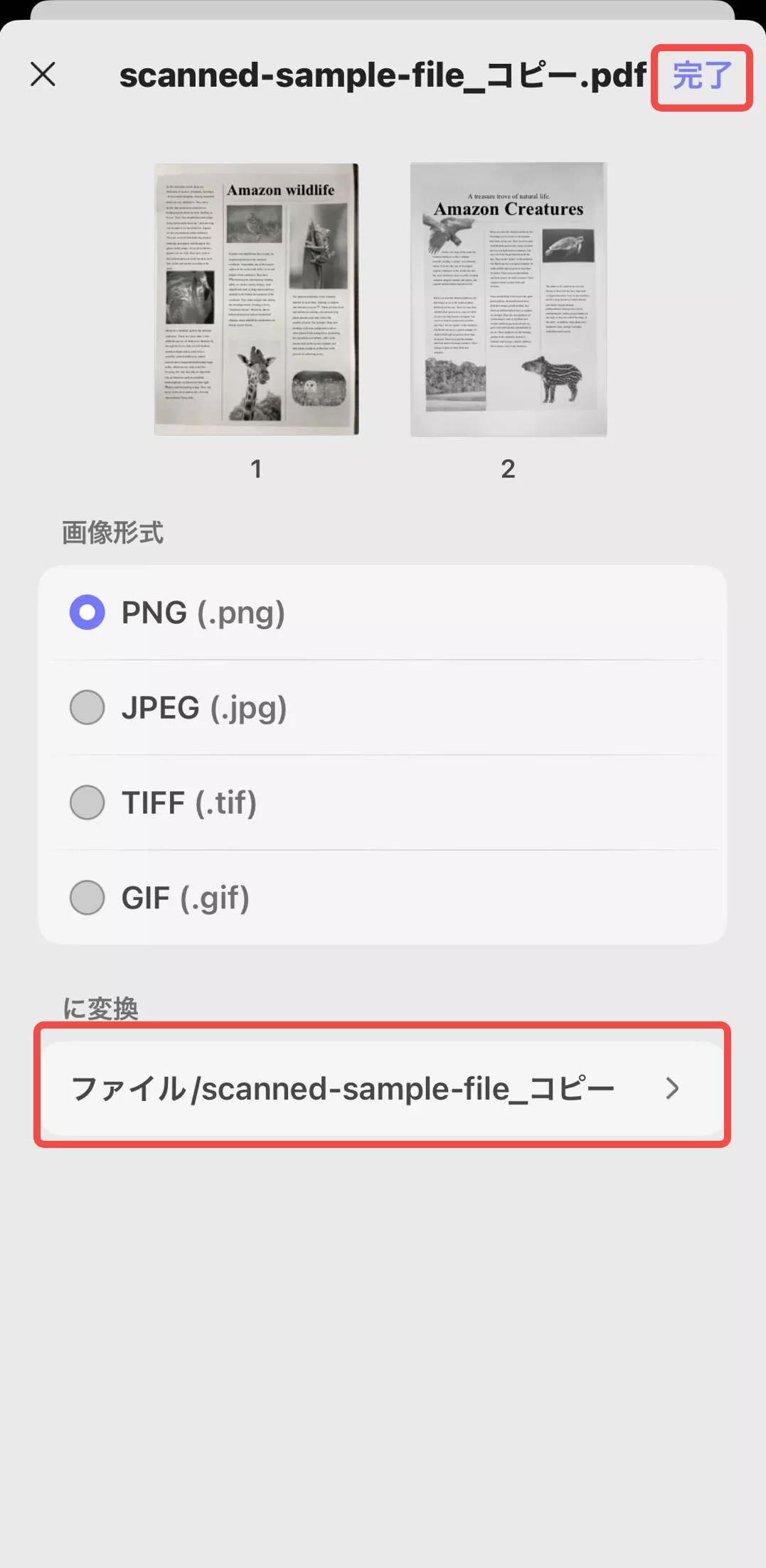 画像の保存先