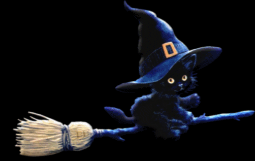 witch black cat gif.
