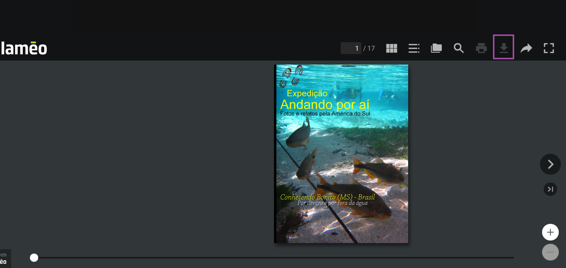 procure o ícone de download no Calameo