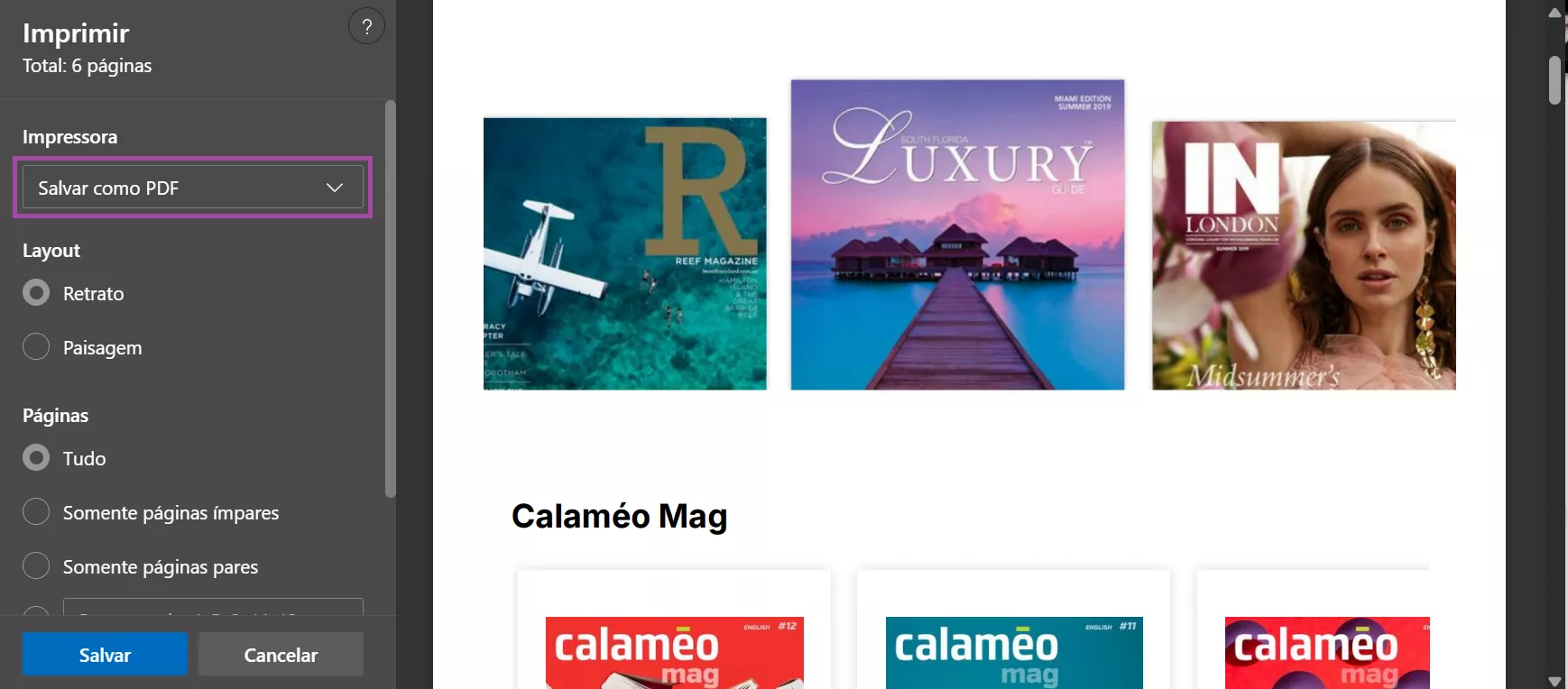 selecione salvar como pdf
