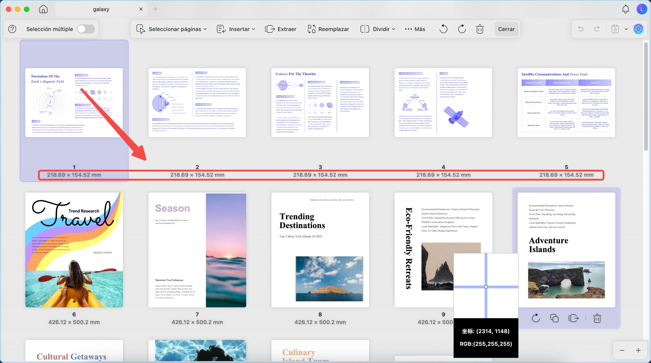 check page size in organize pages panel