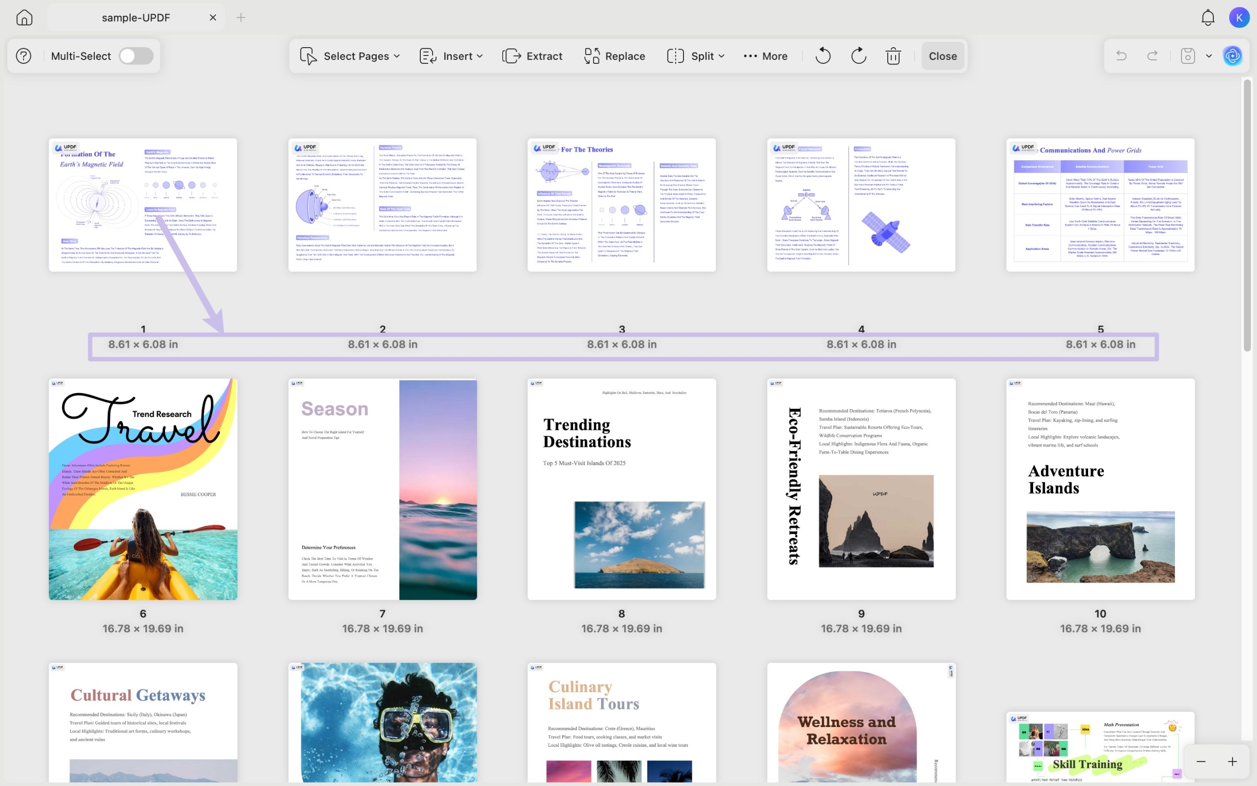 check page size in organize pages panel