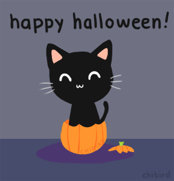 cute black cat on a pumpkin gif.