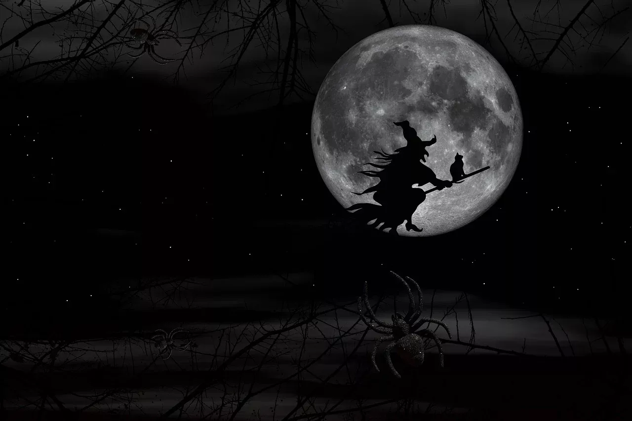 dark witch wallpaper