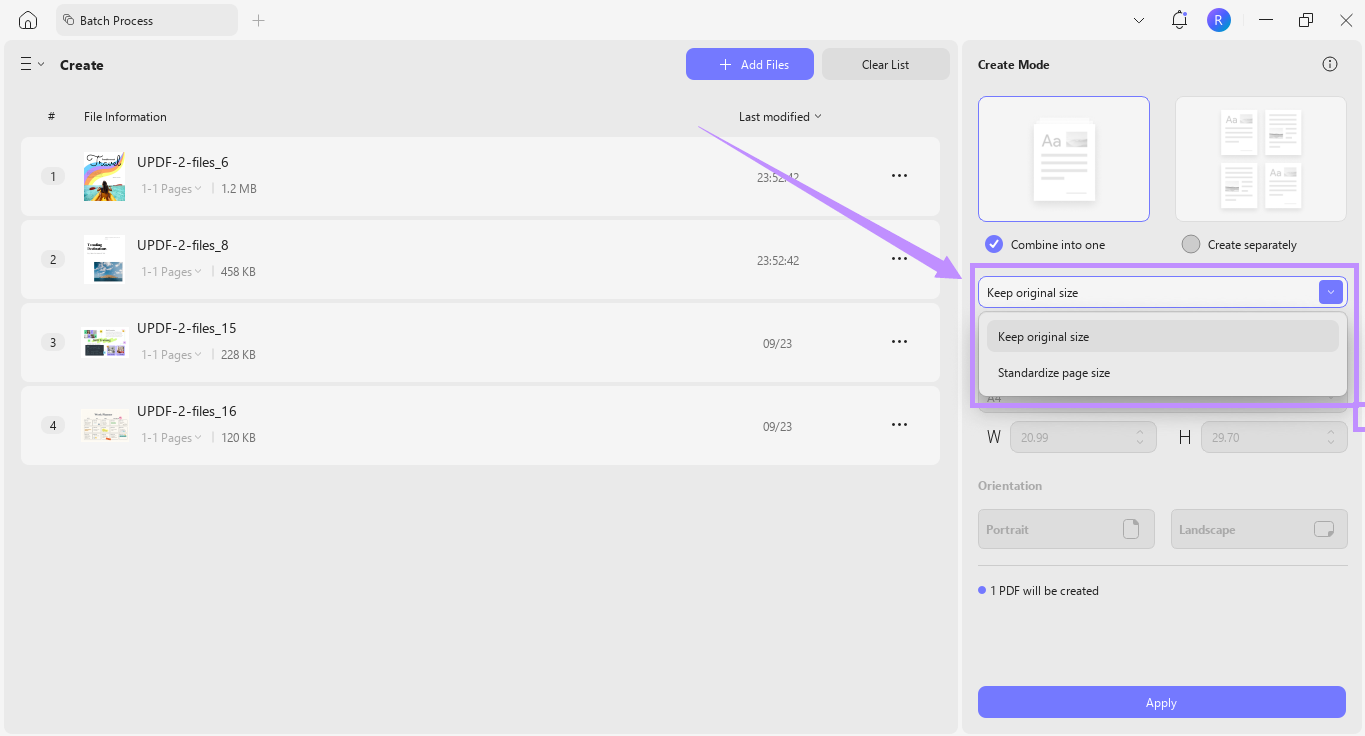 define the page size