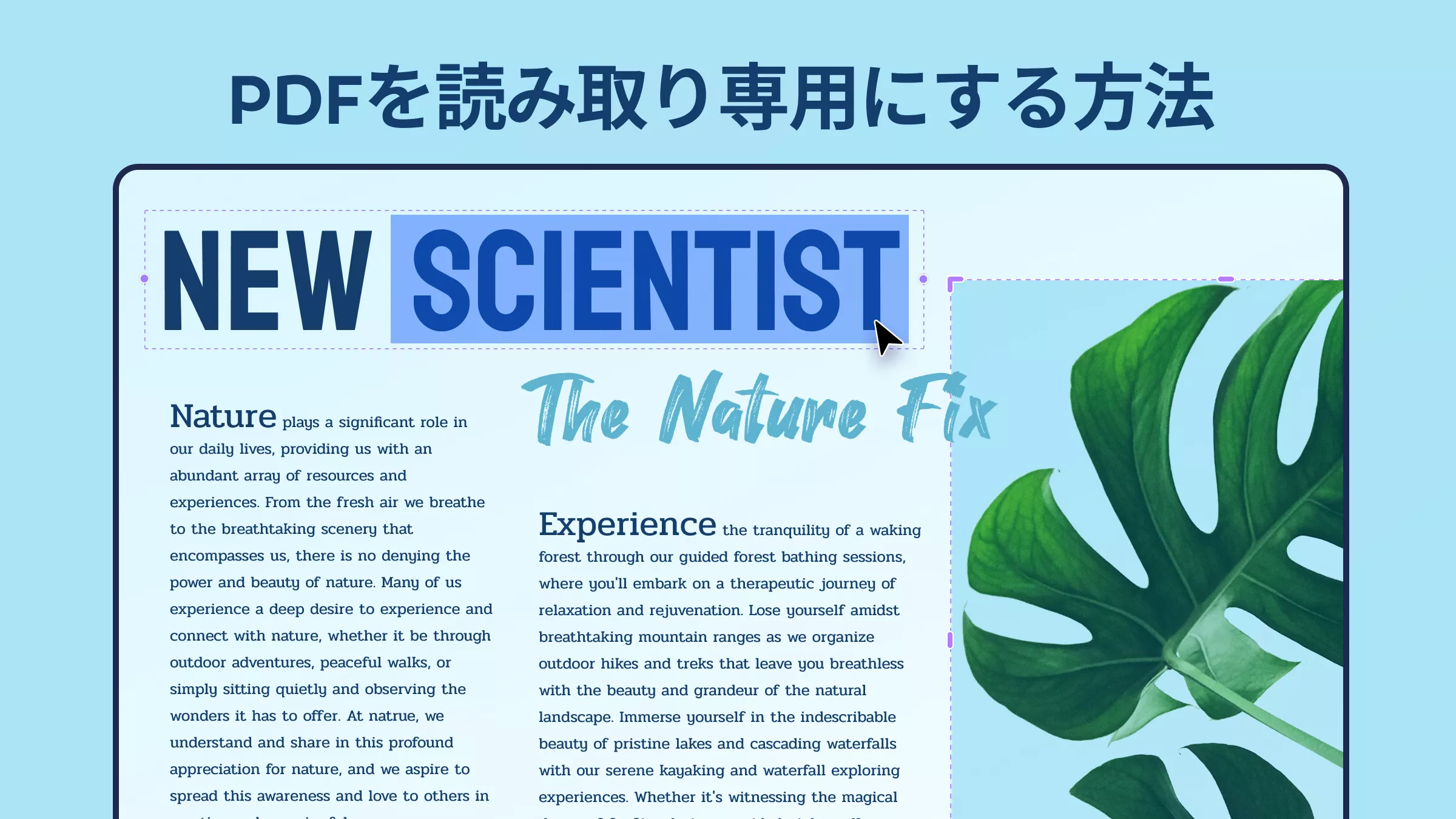 PDFを読み取り専用にする3つの実用的な方法