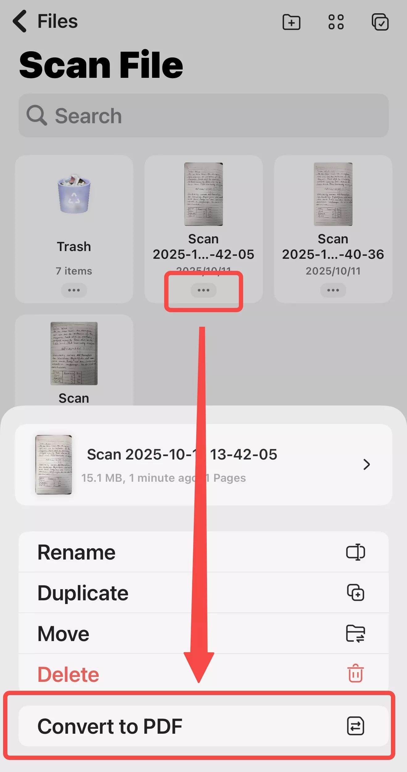 convert to pdf
