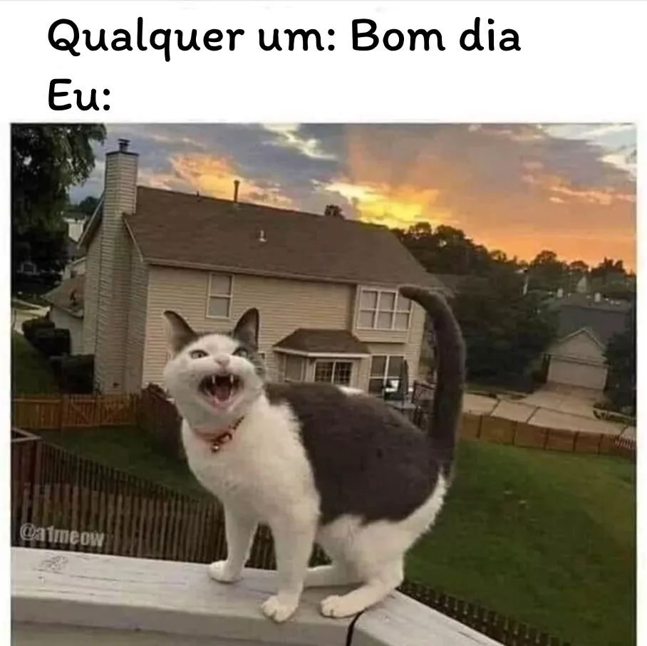 a raiva matinal é um meme verdadeiro