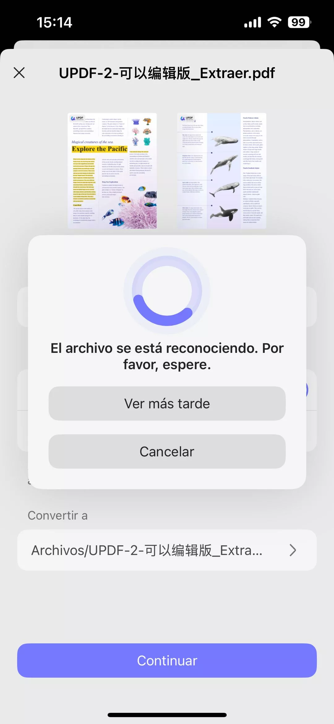 El archivo está siendo reconocido.