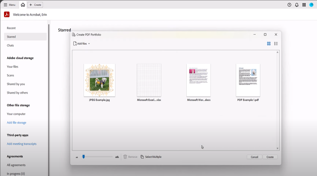 adobe acrobat pdf portfolio window displaying multiple imported signed pdf files and documents