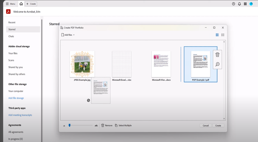 user dragging and rearranging files within the adobe acrobat pdf portfolio window
