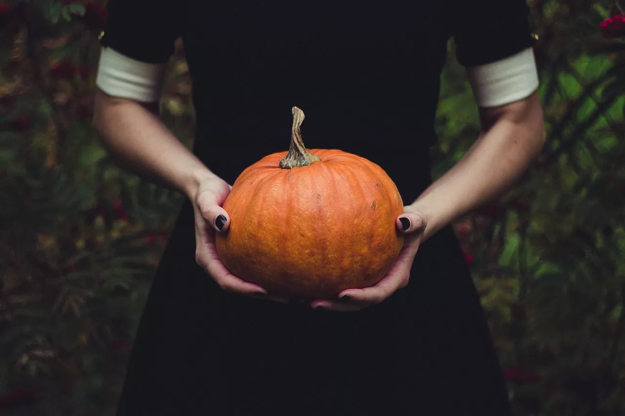 pumpkin aesthetic wallpaper