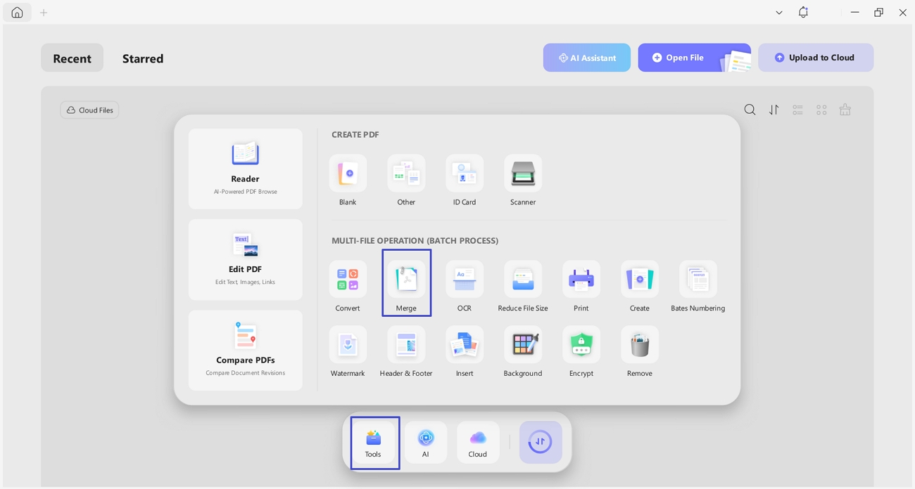 access batch merge feature updf