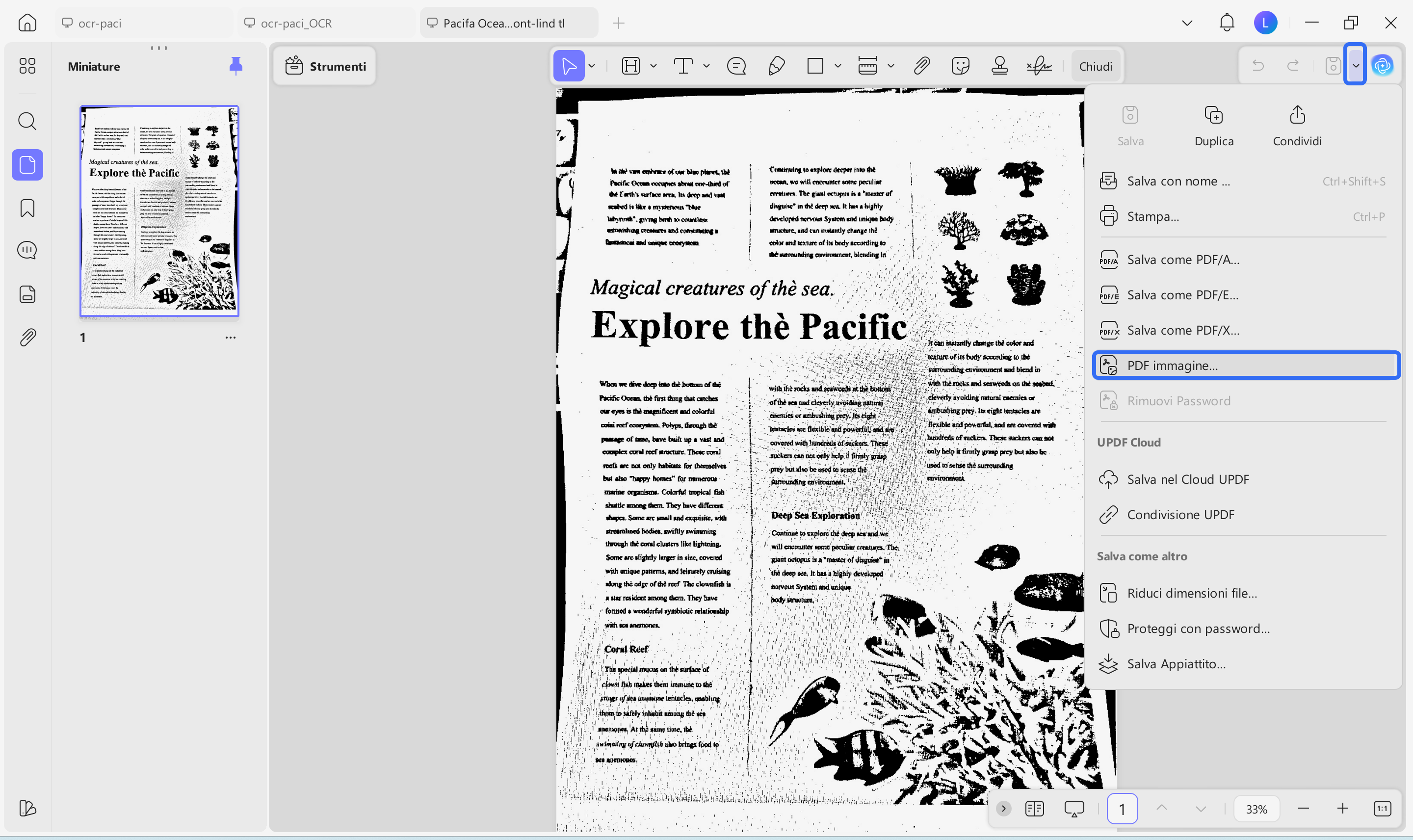 choose image pdf option