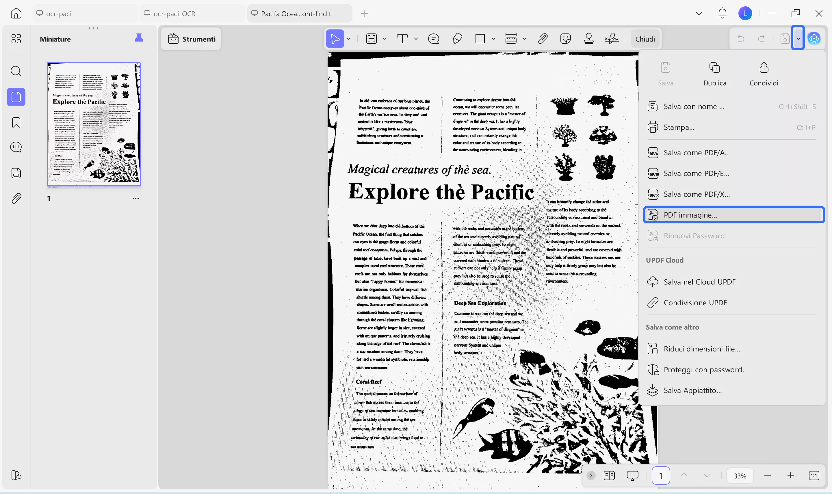 choose image pdf option