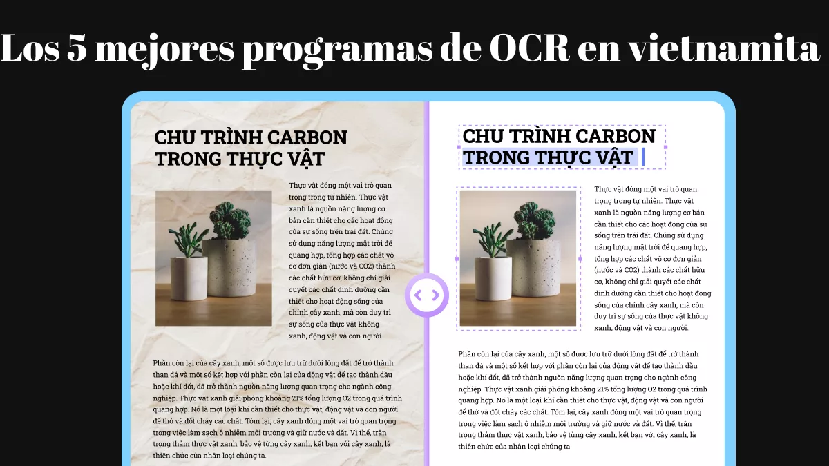 Los 5 mejores programas de OCR en vietnamita (fáciles y precisos)