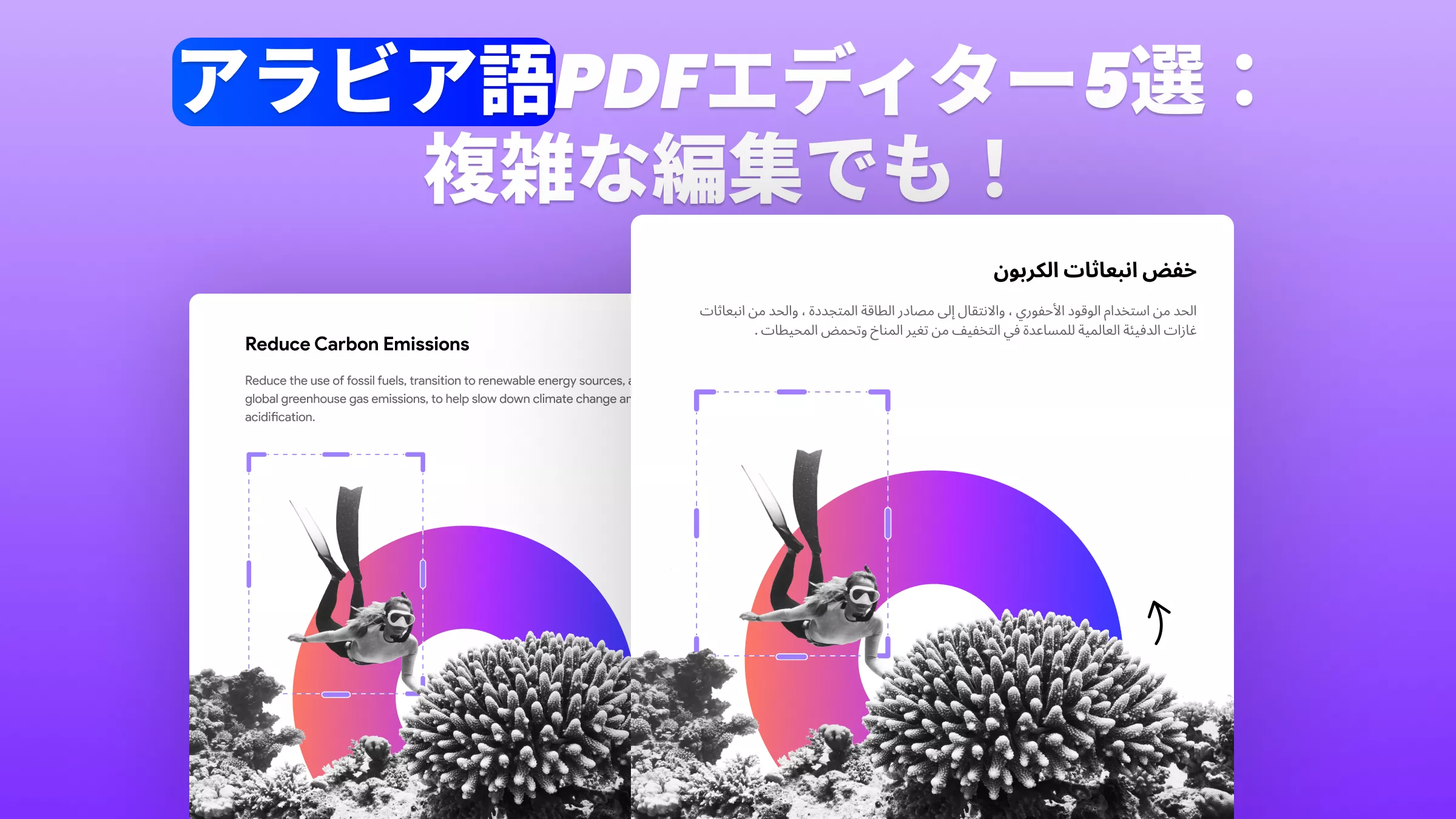 最高のアラビア語 PDF エディター: それは何であり、どのように使用するのか？