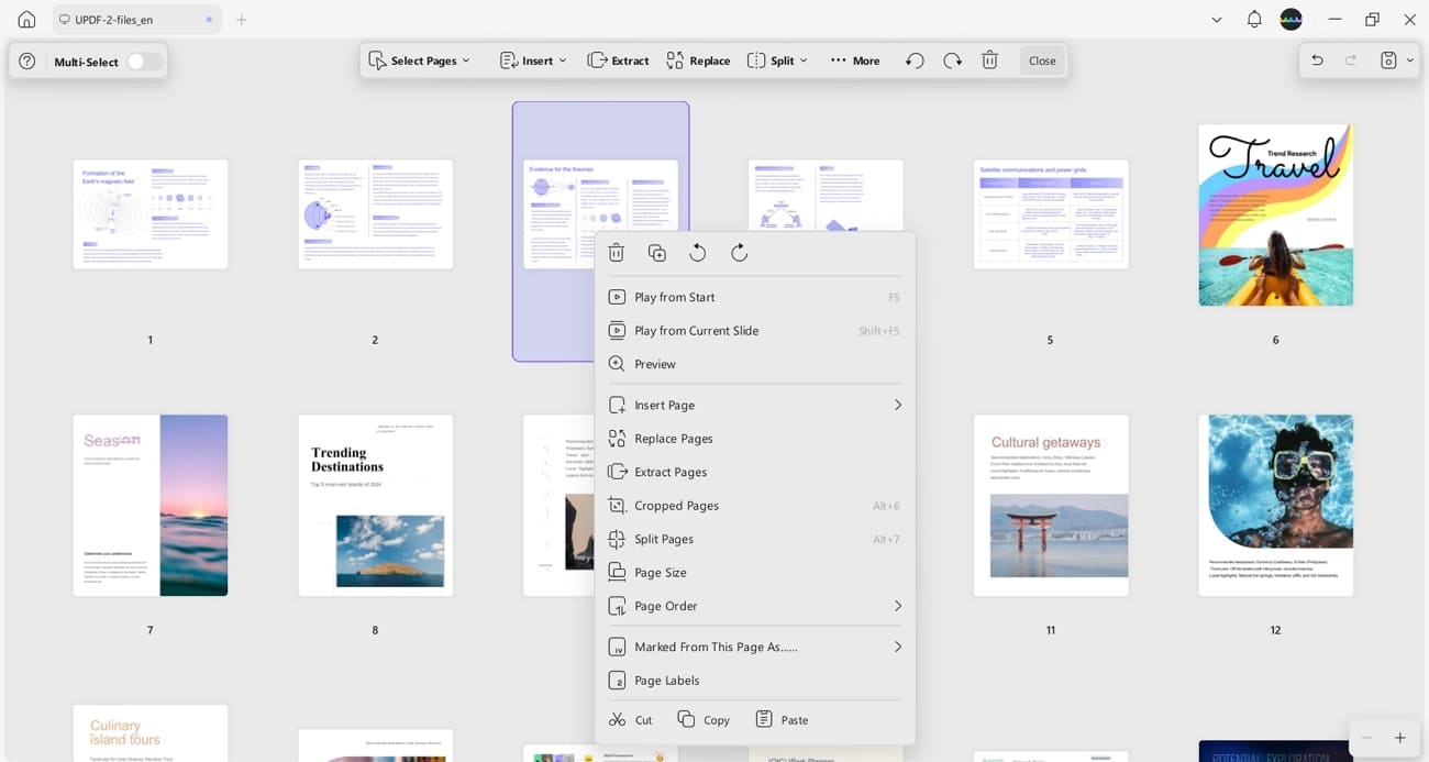 organize pdf pages updf