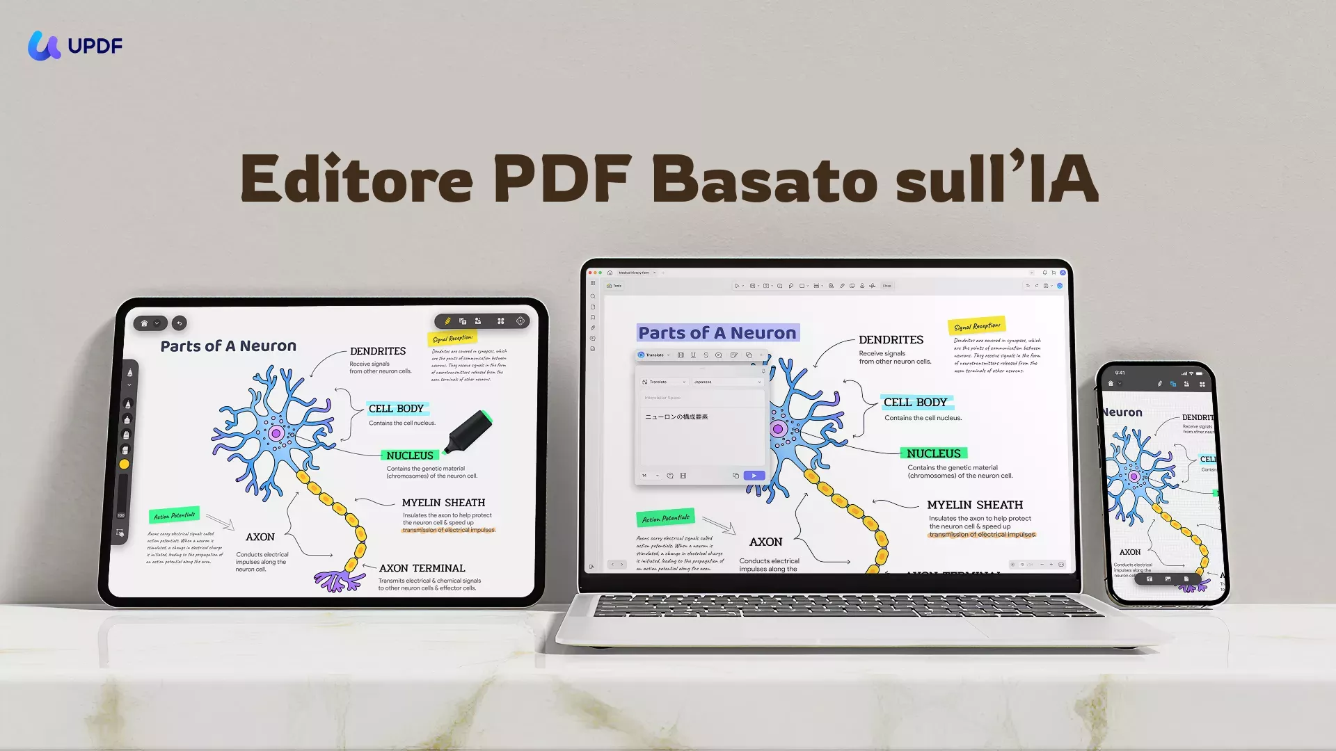 preview app for windows updf