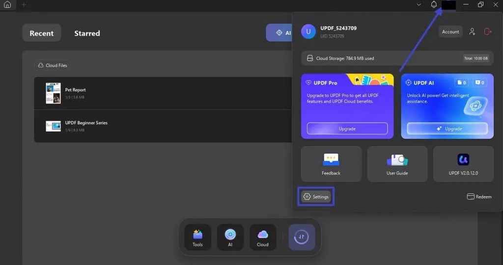 access settings on updf