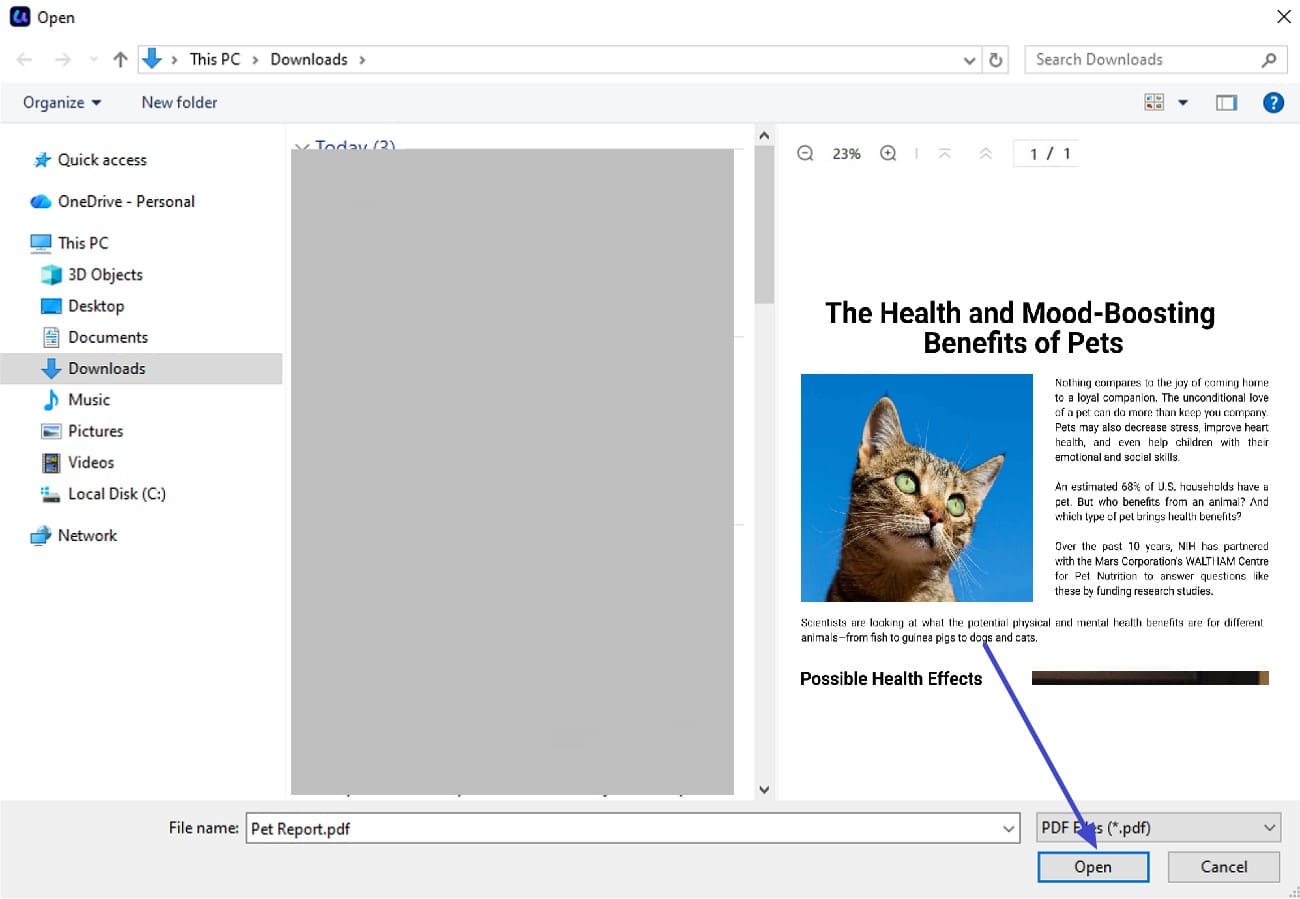 preview pdf before opening