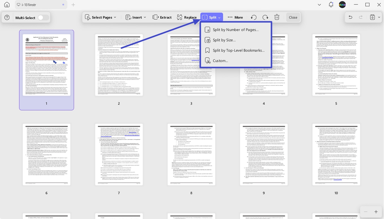 split the lengthy document 