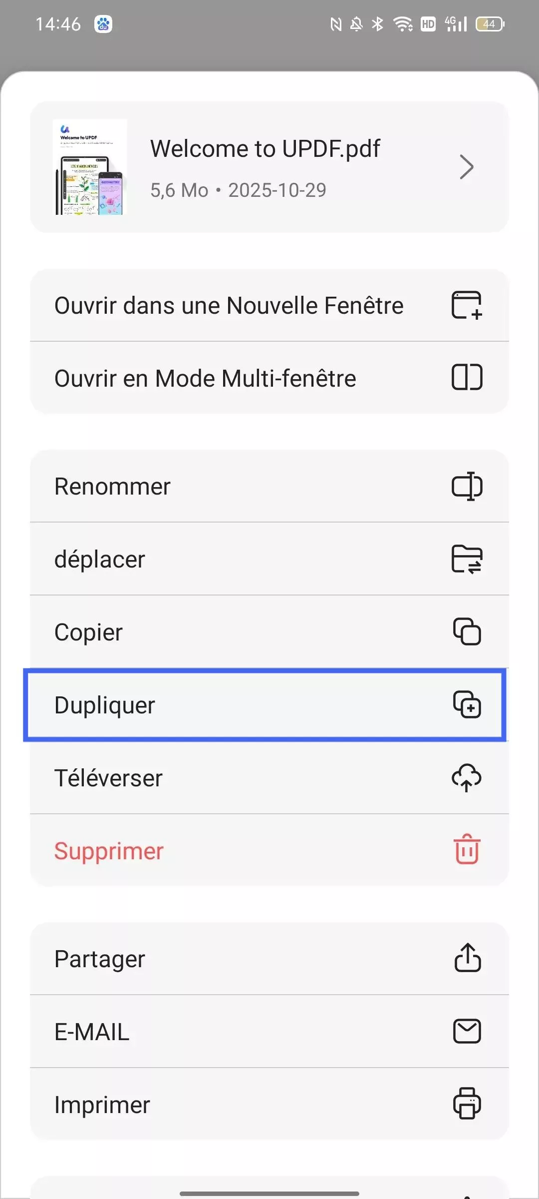 dupliquer le PDF