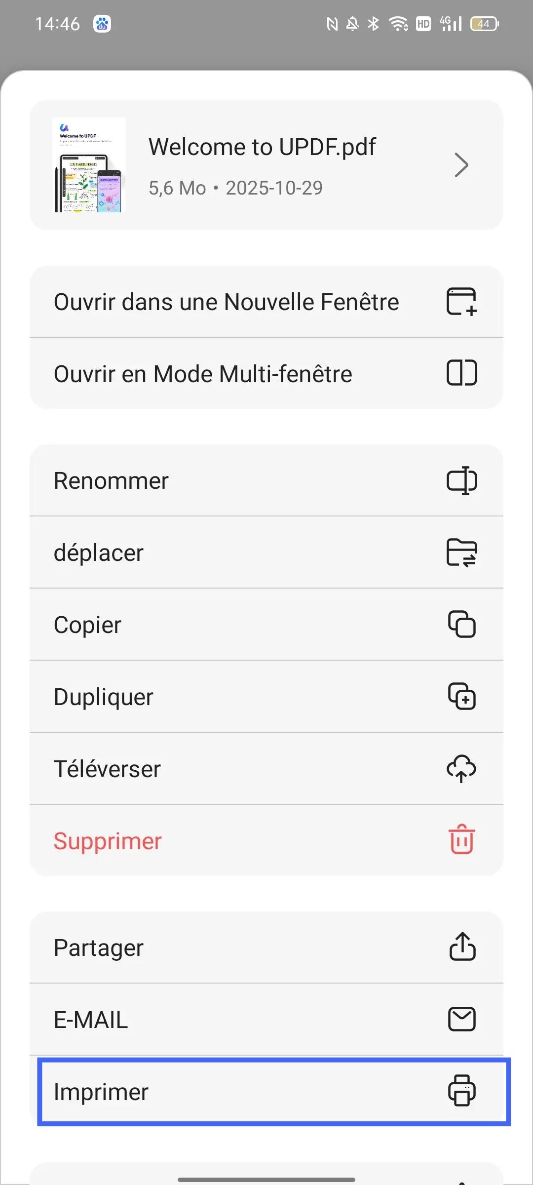 imprimer le fichier PDF