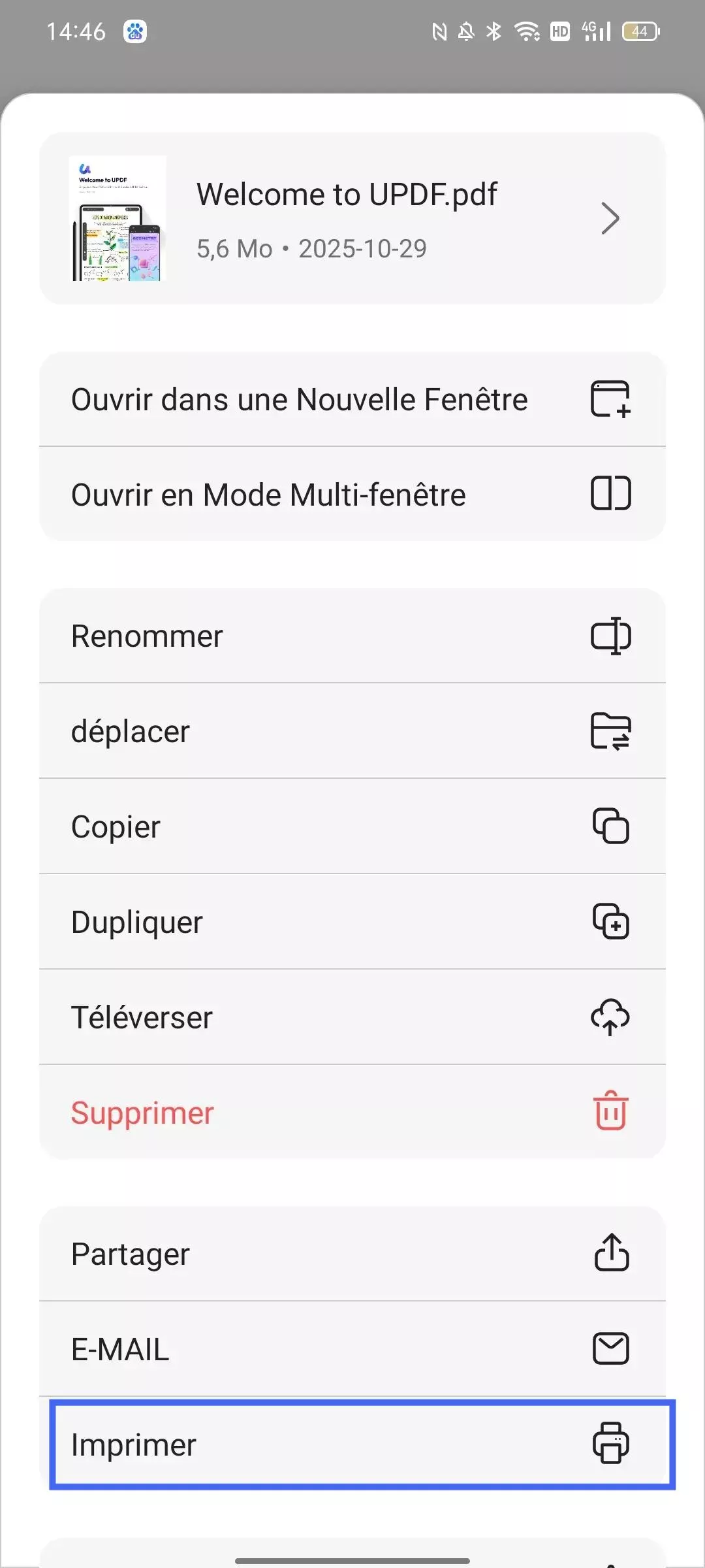 imprimer le fichier PDF