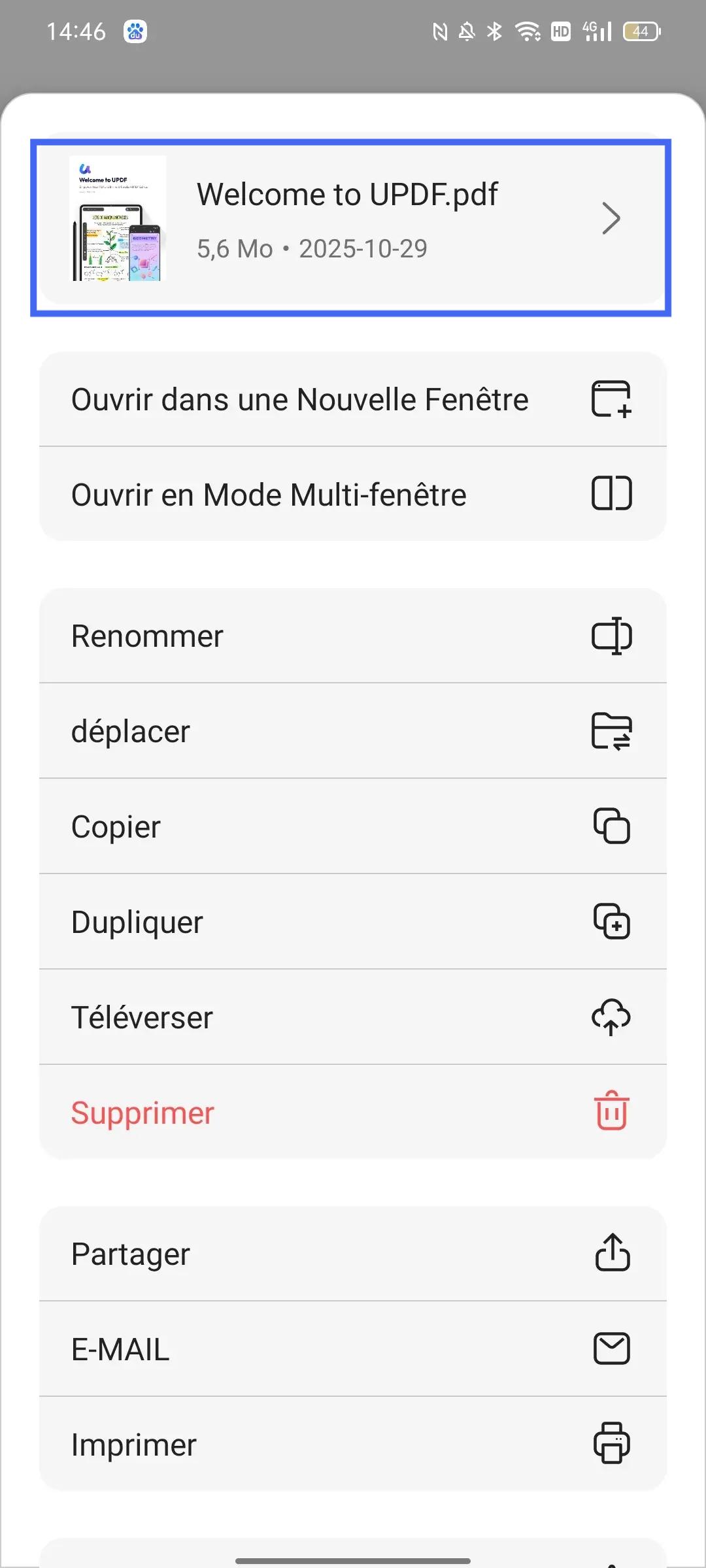 vérifier les informations du fichier updf