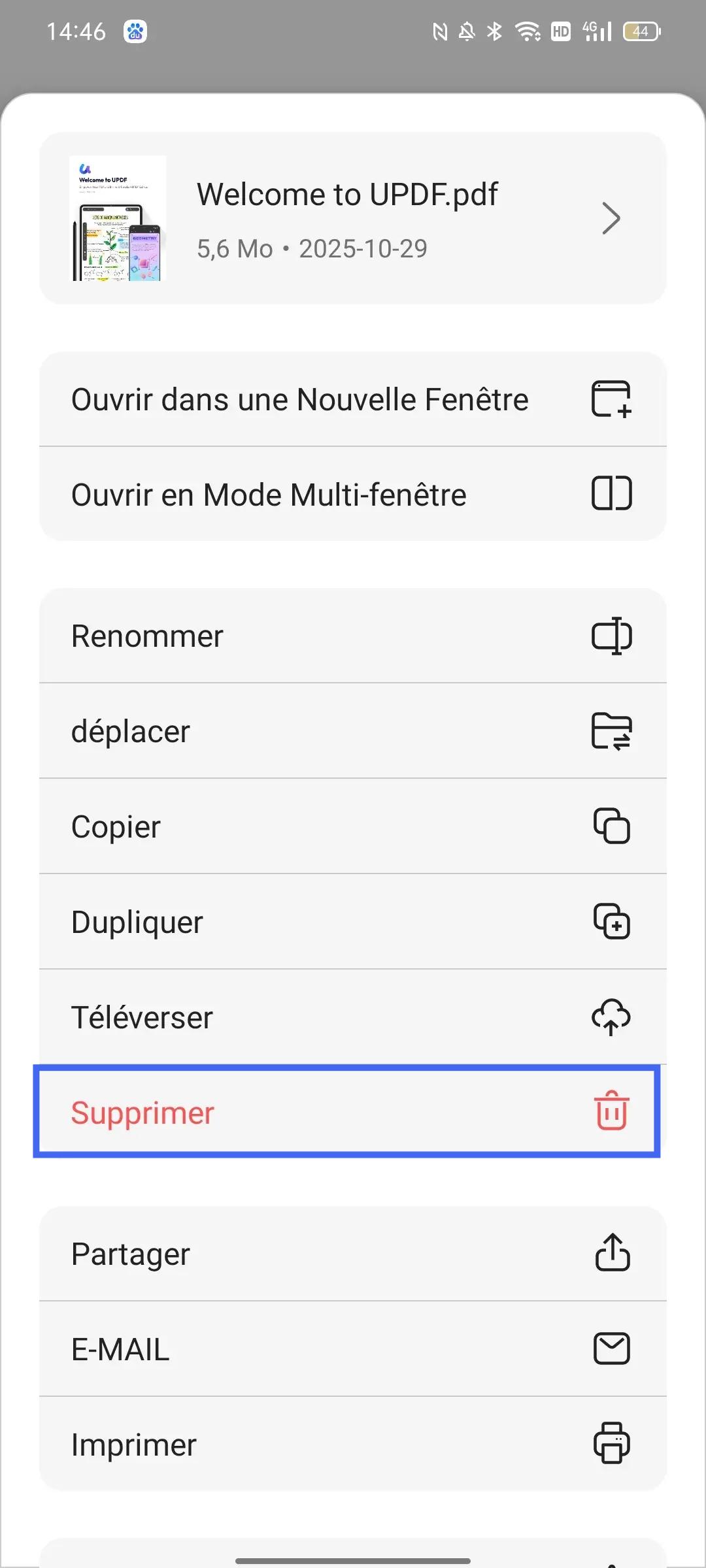 supprimer le fichier PDF