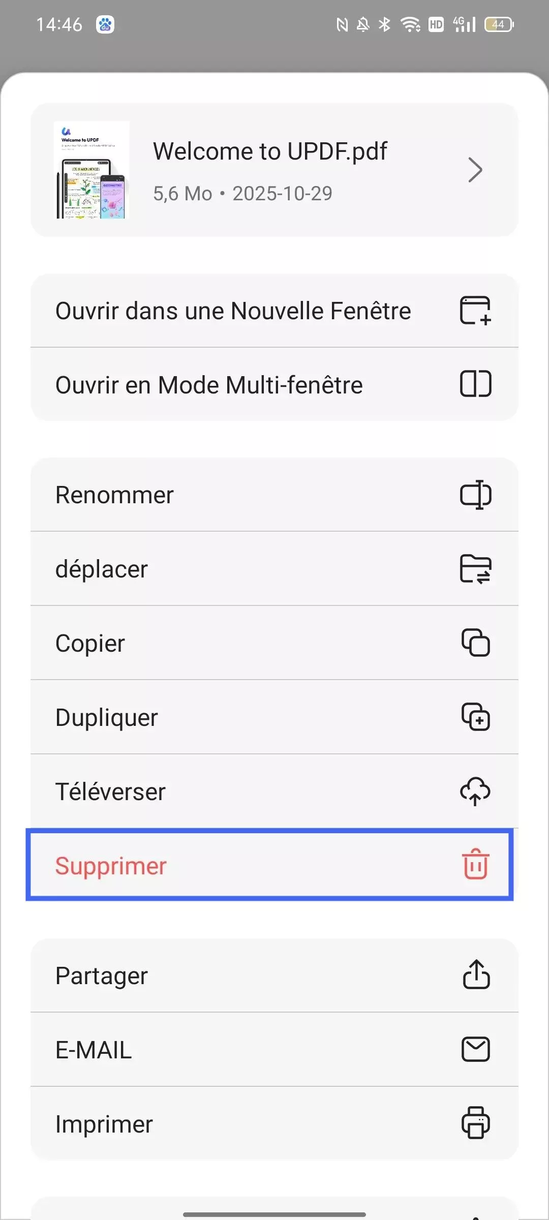 supprimer le fichier PDF