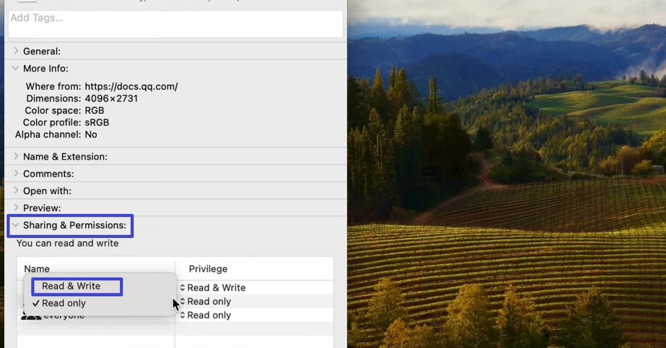 access sharing and permissions