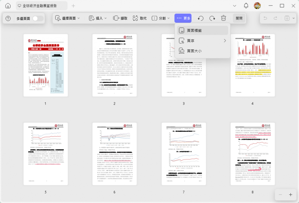 頁面大小和頁面標籤