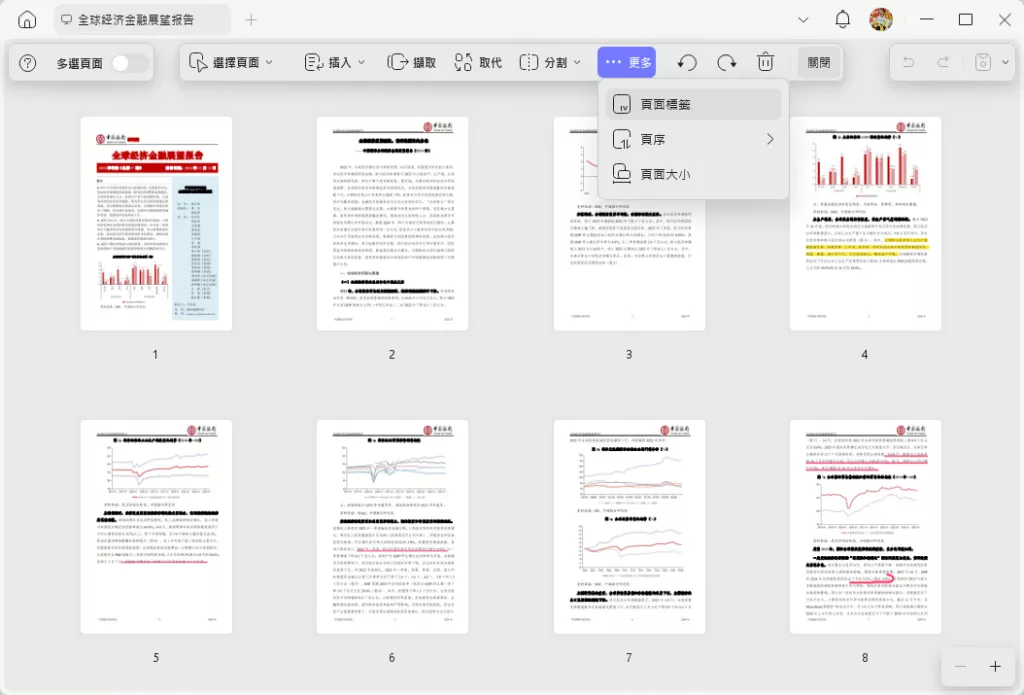 頁面大小和頁面標籤