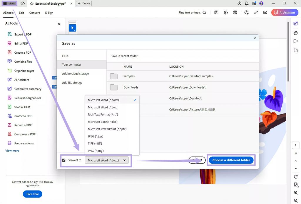 將 PDF 文檔轉換為 Word 檔案