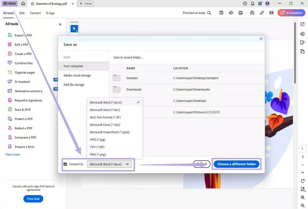 將 PDF 文檔轉換為 Word 檔案