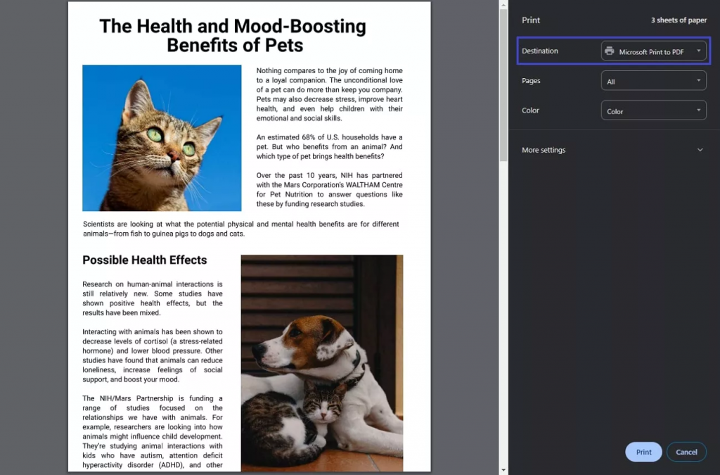 列印為 PDF 文件