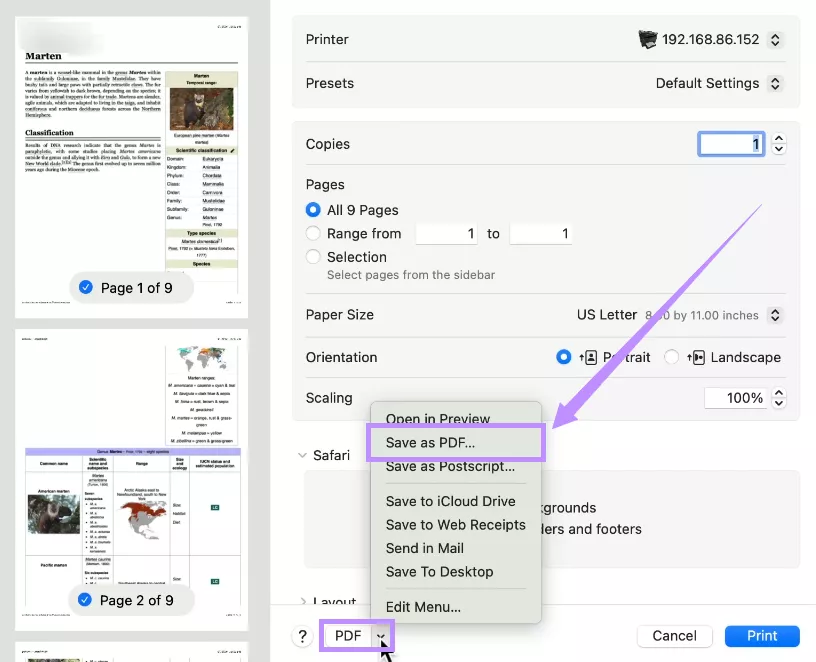 另存為 PDF 文件